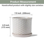 8 Inch Ceramic Plant Pot with Drainage Hole & Separate Saucer - Image 2