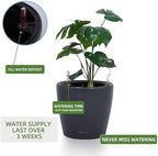 Dexceder 11x10 Self Watering Planter (Slate Gray Matte) - Image 5