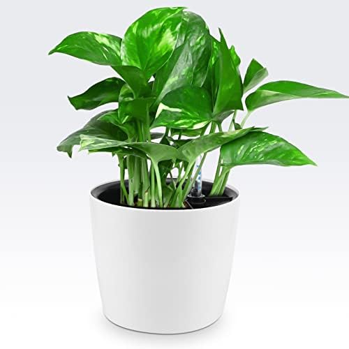 4 Pack 7 Inch Self Watering Planter for Indoor Plants, White Decorative Round Plastic Self Watering Pots with Level Indicators for Soil Planting, Flowers, Herb, African Violet, Succulent - Image 7