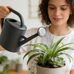 Plant Watering Can 3L Portable Detachable Long Spout Planting Supplies - Image 2