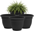 Bloem Ariana 10" Plastic Self-Watering Planter, Black, 4-Pack by Bloem