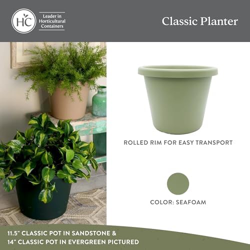 The HC Companies Classic Round Plastic Plant Pot w/Rolled Rim - Lightweight & UV Resistant Flower Pot for Herbs & More - Outdoor & Indoor Plant Pots w/Drainage (15.5 inch Seafoam, Pack of 1) - Image 2