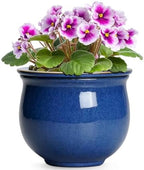 6 Inch Self Watering Pots, Ceramic African Violet Planter with Absorbent Inner Pot, Round Flower Pot for Indoor Plants, Ceramic Pots for Plants, Room Home Decor, Plant Lover Gifts, Blue by Teagas