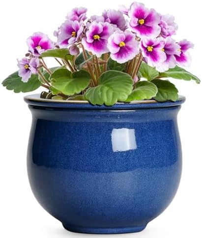 6 Inch Self Watering Pots, Ceramic African Violet Planter with Absorbent Inner Pot, Round Flower Pot for Indoor Plants, Ceramic Pots for Plants, Room Home Decor, Plant Lover Gifts, Blue by Teagas