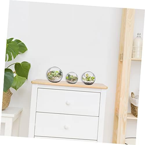 3 Pcs Glass Terrarium Plant Containers with Beveled Openings for Air Plants Succulents Desktop Vases Home Office Decorative Bowls - Image 2