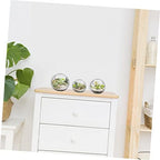 3 Pcs Glass Terrarium Plant Containers with Beveled Openings for Air Plants Succulents Desktop Vases Home Office Decorative Bowls - Image 2