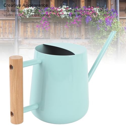 Stainless Steel Plant Watering Pot, 1/2 Gallon Modern Watering Can, Indoor Outdoor Use, Long Spout Watering Can for House Plants, Garden Flowers (Black) - Image 4