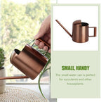 Stainless Steel Watering Can Long Spout 300ml Household Gardening Tool for Succulents and Indoor Plants Bronze Metal Watering Pot for Precise Flower Irrigation - Image 7