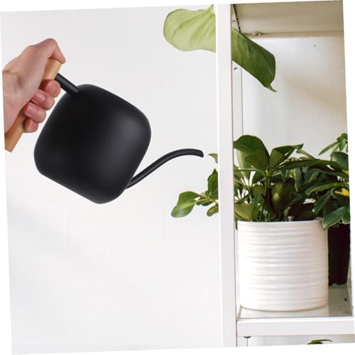 Generic Metal Watering Can for Indoor Plants with Long Spout and Wooden Handle Garden Watering Pot for Succulents and Flowers Ergonomic Design and Easy Refilling - Image 2