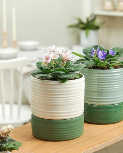 Fayoula Self Watering Pots for Indoor Plants, 6 Inch Ceramic Self Watering Plant Pot, Planter Pot with Wick Rope and Drainage Hole for African Violet Succulent Herbs (White Matte) - Image 5