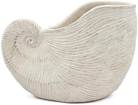 Nautilus Shell Planter, 11.5 Inch, Textured Beige Finish - Image 6