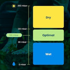 Blumat Moisture Meter for Plants - Accurate Soil Moisture Meter - Easy to Use Advanced Water Meter for Gardening (Moisture Meter with Cap and Planting Tool) - Image 7