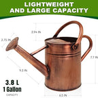 Metal Watering Can with Removable Spout, Galvanized Watering Can, Perfect for Indoor Use and for Outdoor Use (1 Gallaon, Metal) - Image 2