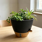 12"/10"/9"/8" Self Watering Pots with Visual Water Window,Extra Large Self Watering Plant Pots with Drainage Holes & Saucers,Black Planters for Indoor Plants,4-Pack - Image 6