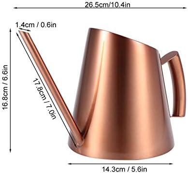 Headerbs Watering Can Stainless Steel Watering Pot 900ml Long Narrow Spout Sanded Finish Ergonomic Handle for Indoor Plants Bonsai Flowers Houseplants Gardening (Large) - Image 2