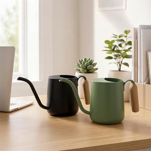 Plant Watering Can, Metal Small Indoor Watering Can with Long Spout & Real Wood Handle for House-Plants, Succulents, Cacti & Seedlings, Small Bonsai Outdoor Garden Modern Decorative - Image 5