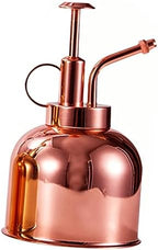 Steel Vintage Spout Bottle Watering Stainless with Long 300ml, Succulent by Happyyami