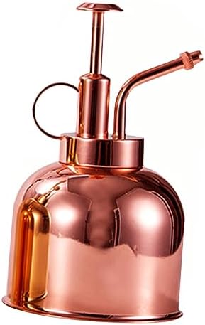 Steel Vintage Spout Bottle Watering Stainless with Long 300ml, Succulent by Happyyami