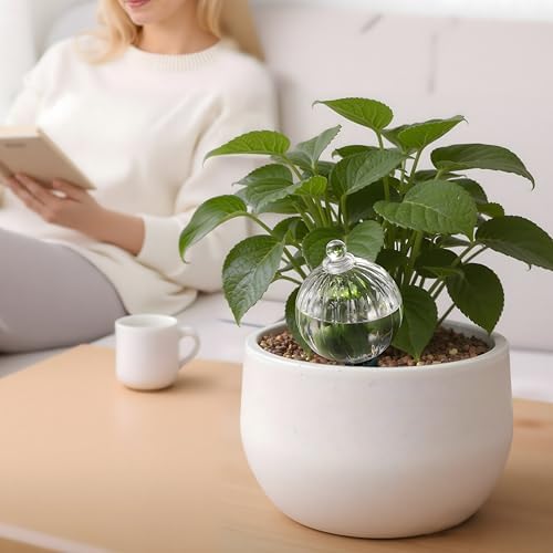 23 oz Up to 2 Weeks Extra Large Glass Plant Watering Globe, Slow Release - Image 2