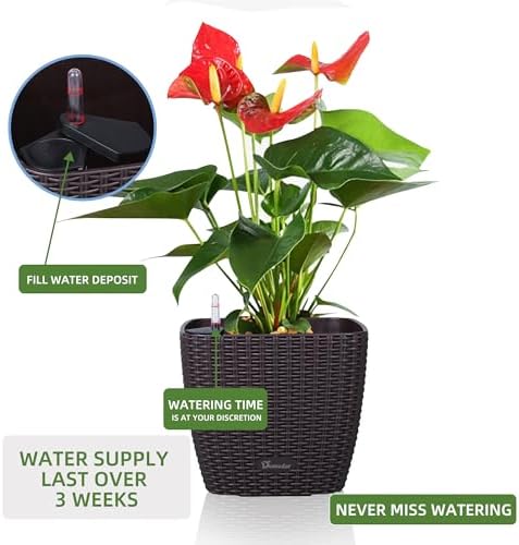 Dexceder 11x10 Self Watering Planter (Brown Rattan) - Image 5