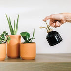 Modern Sprout Plant Mister - 8 oz Indoor Watering Can & Sprayer - Black - Image 2