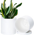 D'vine Dev 2-Pack White Plastic Planters with Saucers, 6.5 in, 74-Z-L-1 by DvineDevPlanterPotsandStand