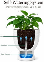 White Terracotta Self Watering Plant Pots, 6 and 8 Inch with Saucers - Image 5