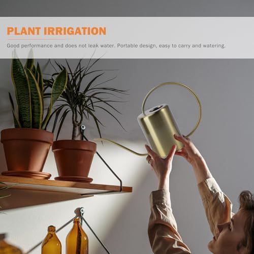 Stainless Steel Watering Can 2000ml Golden Long Spout - Image 2