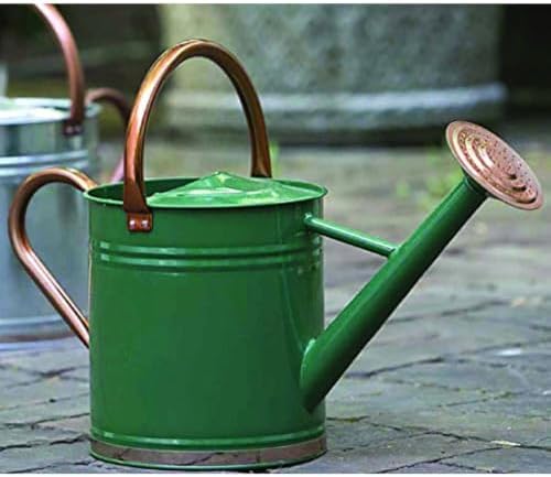HomeStock Galvanized Steel Watering Can, 1 Gallon Capacity with Copper Accents, for Indoor Outdoor Plants - Image 3