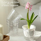 8.5 Inch Self Watering Plant Pots for Indoor Plants 6 Packs African Violet Pot, Self Watering Planters for Herb, Orchid, Devil's Ivy, Flower Houseplant Planters, Clear Plant Pots, White - Image 6