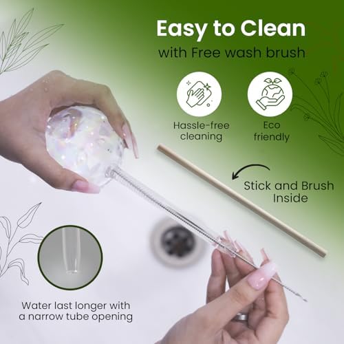 Iridescent Self Watering Globes, Glass Rainbow Plant Watering Globes, Self Watering Planter Insert, Automatic Plant Waterer Indoor (Large-6 Pcs Iridescent, Large) - Image 4