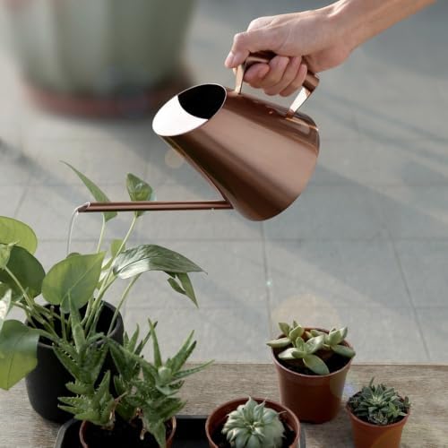 Stainless Steel Indoor Watering Can with Long Spout, Bronze - Image 3