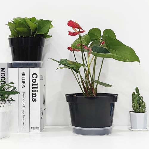 RooTrimmer 12 Pack Plant Pots, 8 Inch Plant Planter with Clear Saucer, Plastic Pots for Plants Indoor and Out Door Such as Strawberry, Herb and Flowers (Black) - Image 5
