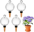 17oz Extra Large Self Watering Globes - Plant Watering Globes, Plastic Water Bulbs, Indoor/Outdoor Plant Watering Devices for Automatic Drip Irrigation, 4 Pack by DANHAN