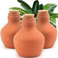 3 Pack Large Terracotta Olla Watering Pots, 520ml Plant Watering Globes by Unknown