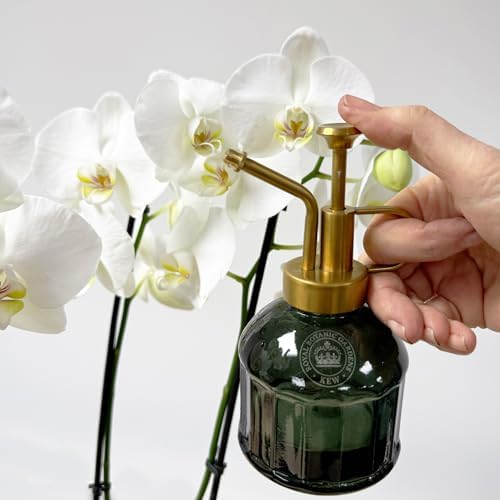 Spear & Jackson Kew Gardens Urban Oasis Collection 05LWCKEW 250ml Plant Mister - Elegant Functional Gold & Green Mist Sprayer for Hydrating & Cleaning Delicate Plants - Image 4