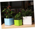 Happyyami 2pcs Self Watering Flower Pot Plastic Planter with Double Layer - Image 4