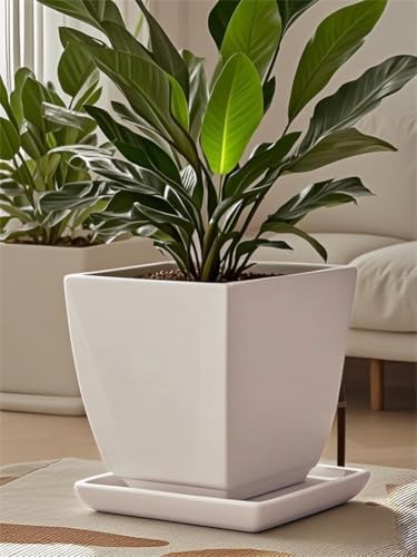 Square Ceramic Plant Saucer Tray 12 13 14 Inch White,14" OD x12.2 ID x1.6 Deep, Sturdy Heavy Duty Glazed Planter Drip Flower pots with Catch Basin for Indoor Outdoor Plants(14" White) - Image 3