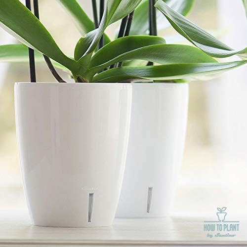 Santino 5.9 Inch ORCHIDEA Self Watering Pots for Orchids in Violet (Set of 3) - Decorative Wicking Planter with w/Great Aerification, Drainage and Water Level Indicator - Image 5