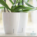 Santino 5.9 Inch ORCHIDEA Self Watering Pots for Orchids in Blue (Set of 3) - Decorative Wicking Planter with w/Great Aerification, Drainage and Water Level Indicator - Image 5