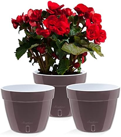 Santino ASTI 7.9 Inch Self Watering Planters Shade/White (Set of 3) for Indoor Plants - Premium Quality Modern Plastic Pot w/Water Level Indicator for All House Plants, African Violets and Dahlias by Smart+Planters