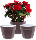 Santino ASTI 7.9 Inch Self Watering Planters Shade/White (Set of 3) for Indoor Plants - Premium Quality Modern Plastic Pot w/Water Level Indicator for All House Plants, African Violets and Dahlias by Smart+Planters