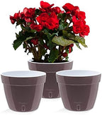 Santino ASTI 7.9 Inch Self Watering Planters Shade/White (Set of 3) for Indoor Plants - Premium Quality Modern Plastic Pot w/Water Level Indicator for All House Plants, African Violets and Dahlias by Smart+Planters