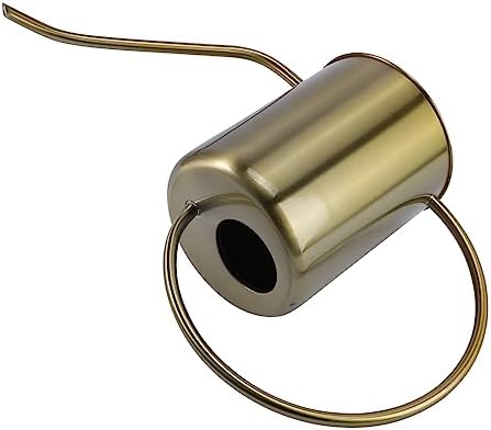 Stainless Steel Watering Can 2000ml Long Spout for Gardening by BESPORTBLE