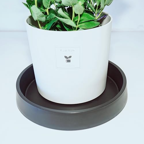 Plant Saucer Tray for Ceramic Plastic Pots, 20 inch Plant Saucers for Indoors, Pot Saucers Trays, Bird Bath Bowls, Flower Planter Water Drip Trays for Pots Base (20", Black) - Image 4