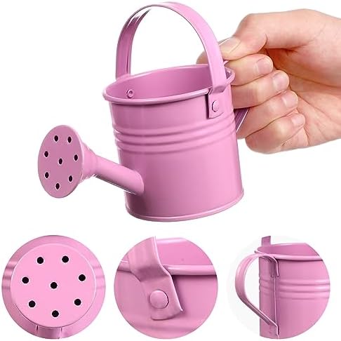 6PCS Kids Metal Watering Can Indoor Plants Small Watering Can for Indoor Plants Mini Gardening Tool Tiny Kettle for Gardening - Image 6