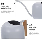 Capacity Metal Watering Can with Ergonomic Wooden Handle and Long Spout for Indoor and Outdoor Plants Stainless Steel Watering Pot for Flowers and Houseplants - Image 5