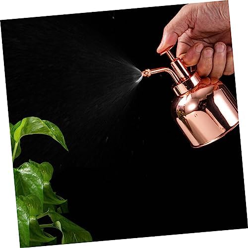 Vintage Plant Watering Can Stainless Steel Succulent Watering Bottle Indoor Plant Mister - Image 5