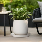 Ceramic Plant Saucer - 12 Inch Plant Tray for Pots Large Plant Plate to Catch Water Indoor Plants Large Plant Drip Tray for Drainage Round Flower Pot Saucer White - Image 5