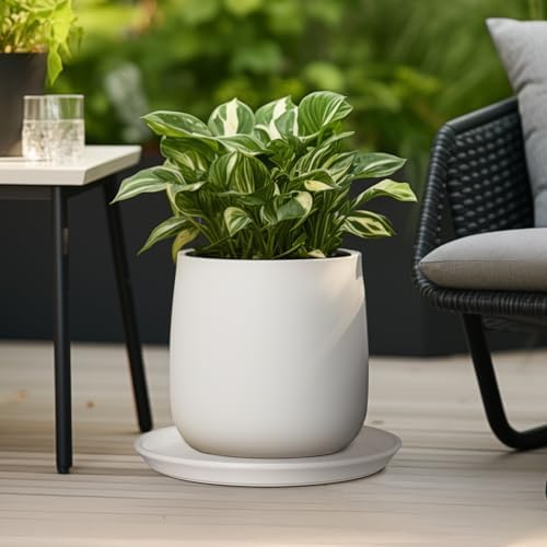 Ceramic Plant Saucer - 12 Inch Plant Tray for Pots Large Plant Plate to Catch Water Indoor Plants Large Plant Drip Tray for Drainage Round Flower Pot Saucer White - Image 5